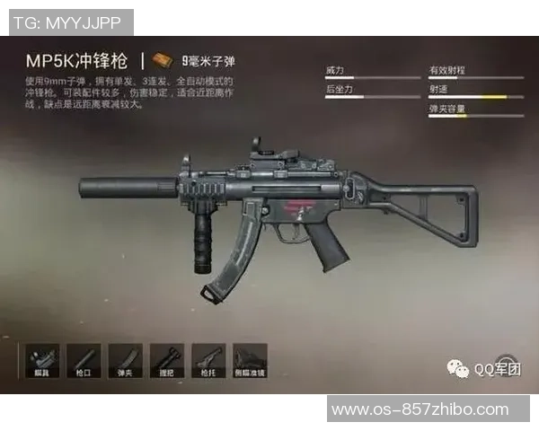 和平精英战术解析：WE战队盯防体系的深度剖析与应用技巧